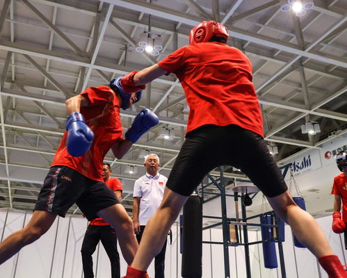 2020年東京奧運(yùn)會(huì)拳擊比賽 賽事組織與特色