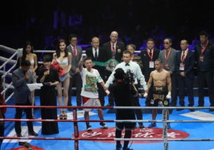 蘇州拳壇激情綻放 向靜成功衛(wèi)冕，中國(guó)職業(yè)拳擊新年啟航