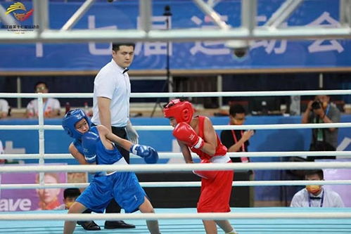 浙江省運動會拳擊比賽圓滿落幕，拳擊運動賽事組織再上新臺階