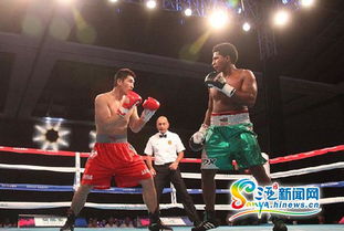 2015世界拳擊聯(lián)賽三亞落幕 中國(guó)龍不敵墨西哥勇士，拳擊賽事組織迎發(fā)展契機(jī)