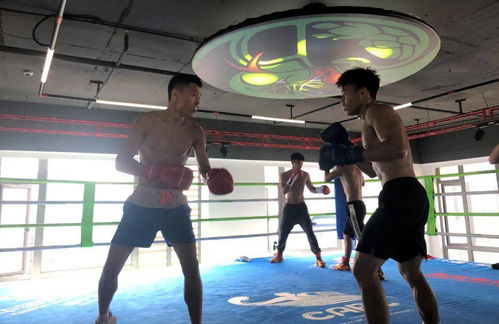 拳風再起，蓄力新征程——廣西拳擊隊進駐迪創曼巴中心開啟高強度集訓